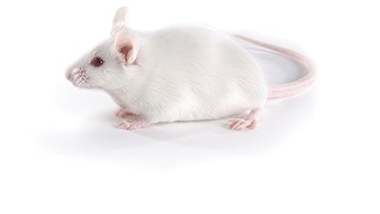 ������Ǯlzyq88(�й�)���޹�˾