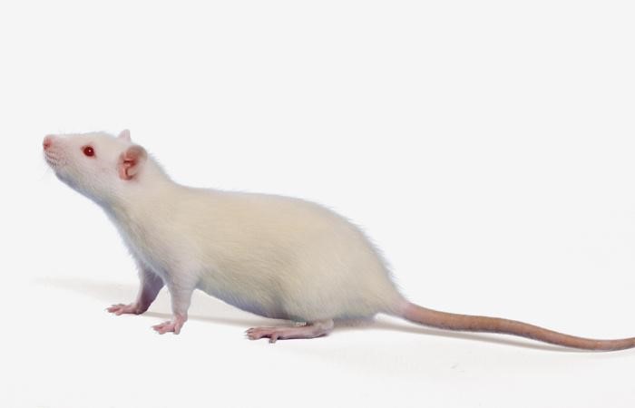 ������Ǯlzyq88(�й�)���޹�˾