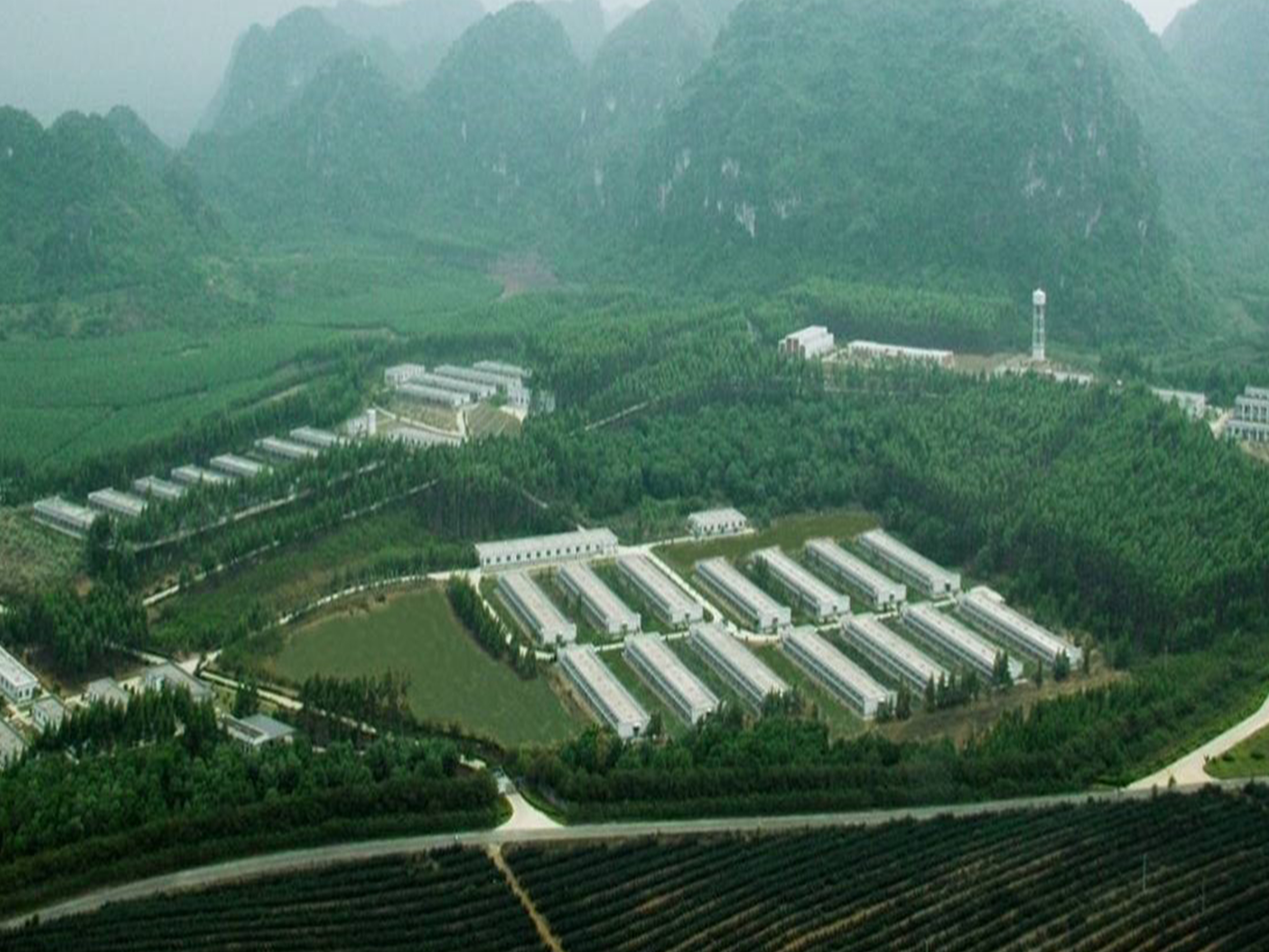 ������Ǯlzyq88(�й�)���޹�˾