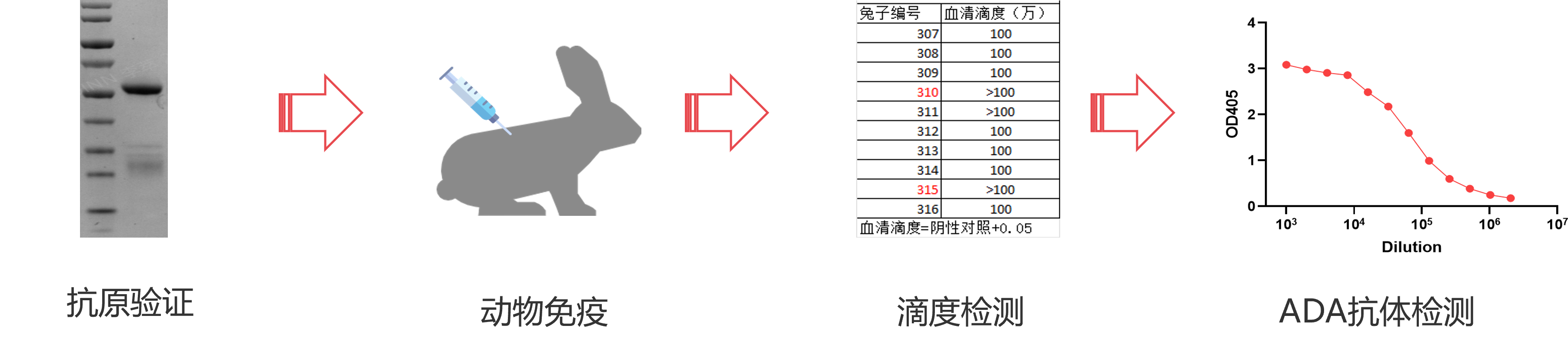 ������Ǯlzyq88(�й�)���޹�˾