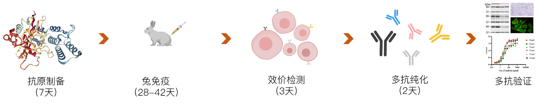 ������Ǯlzyq88(�й�)���޹�˾