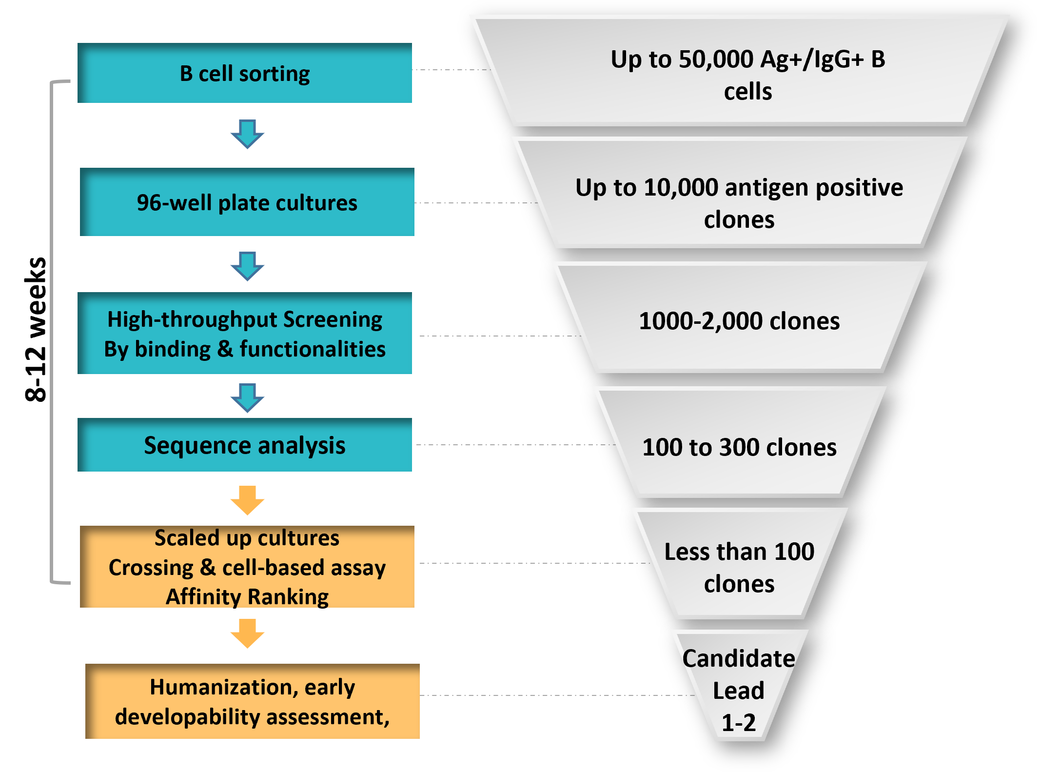 ������Ǯlzyq88(�й�)���޹�˾