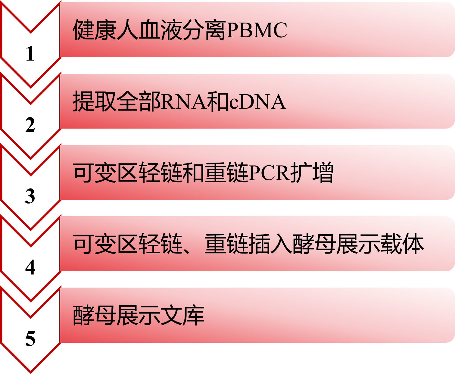 ������Ǯlzyq88(�й�)���޹�˾