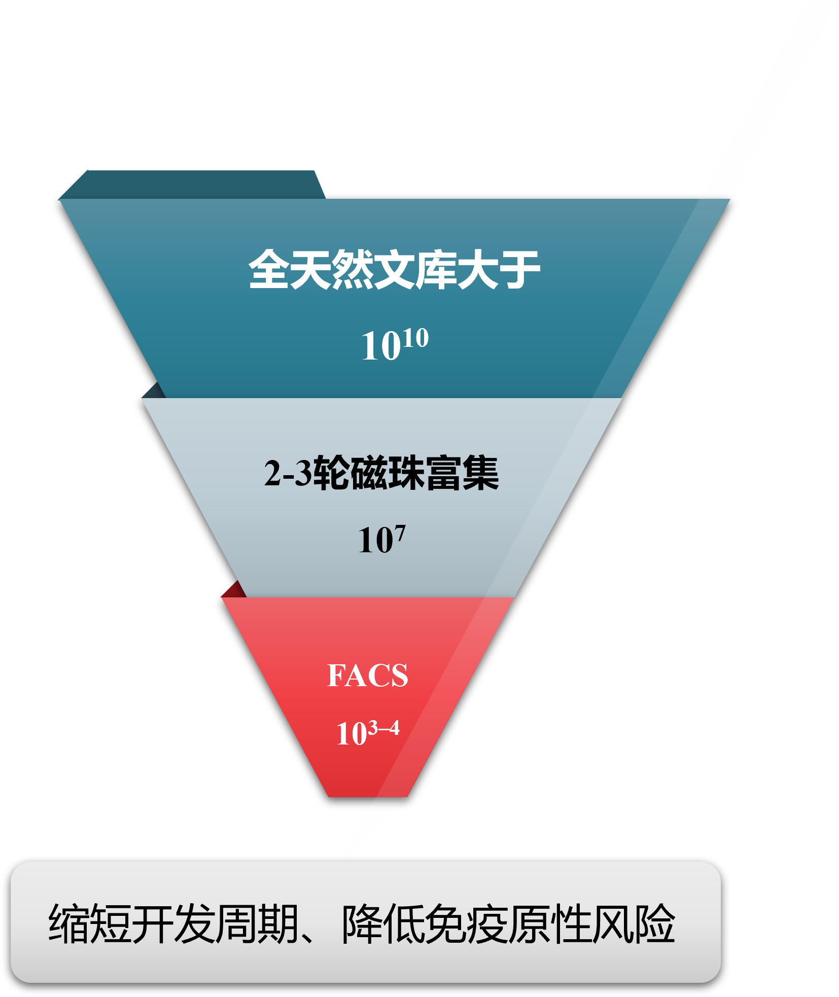 ������Ǯlzyq88(�й�)���޹�˾