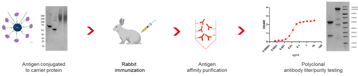 ������Ǯlzyq88(�й�)���޹�˾