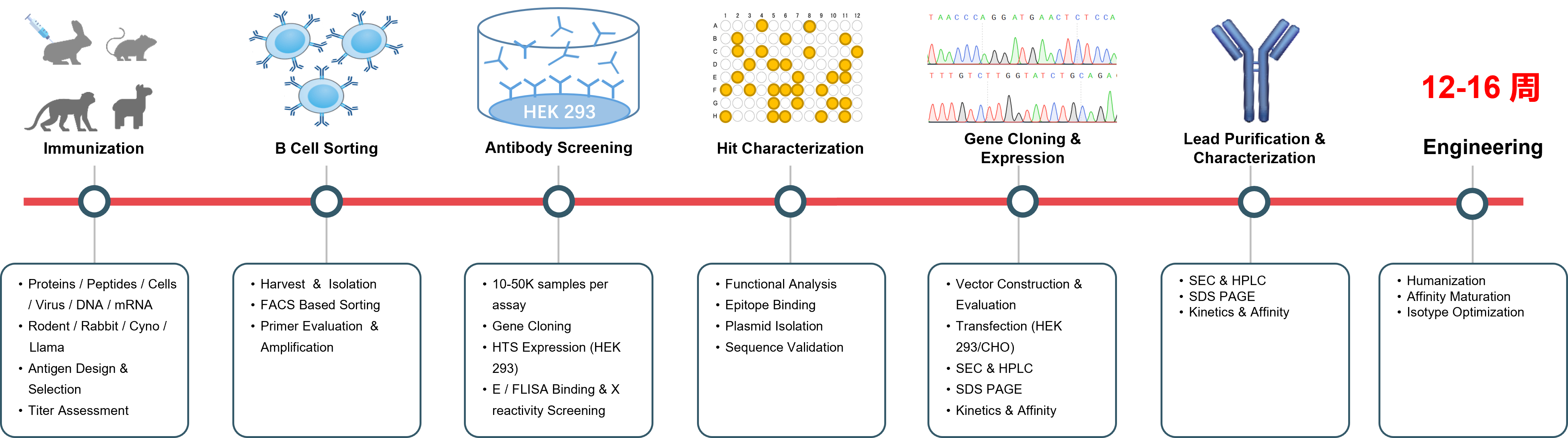 ������Ǯlzyq88(�й�)���޹�˾